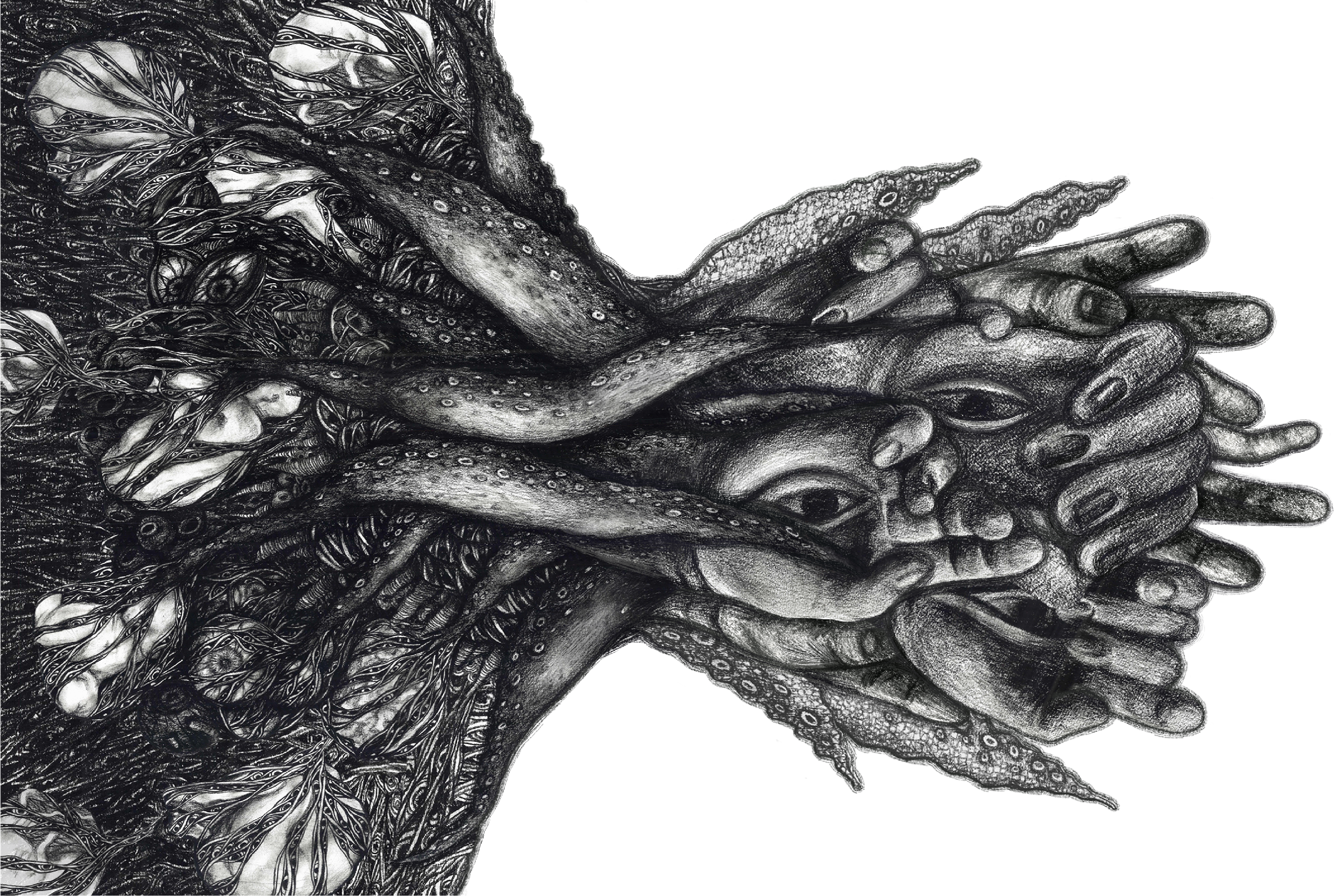 Hand-drawn artwork from MOUNTAINS